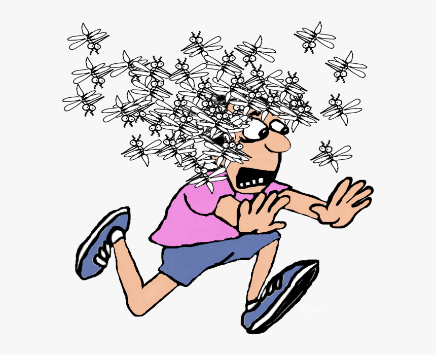 Mosquito Bite Clipart, HD Png Download, Free Download