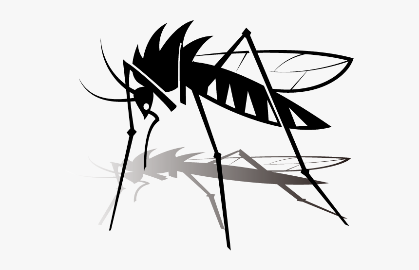 Mosquito - Dengue Alert, HD Png Download, Free Download
