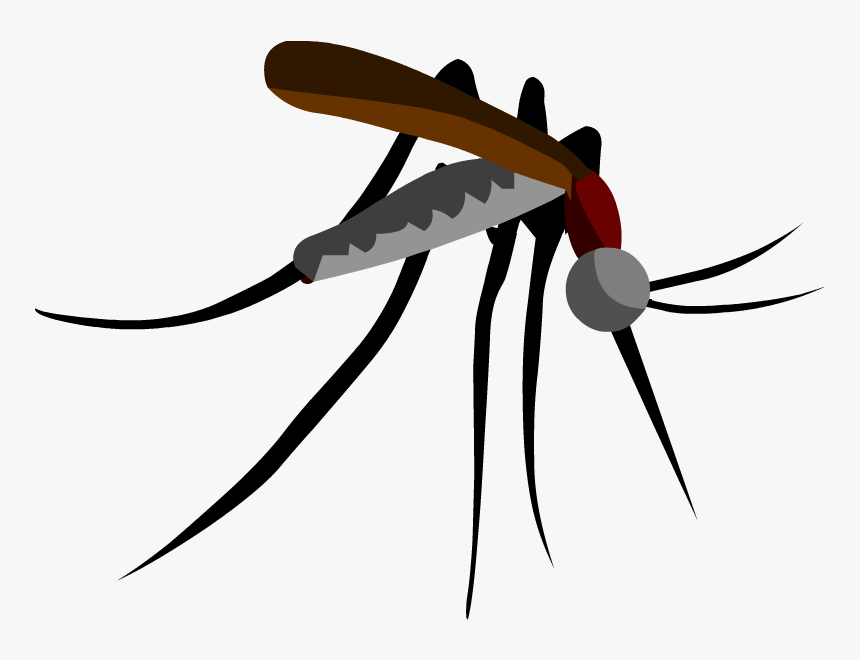 Parasitism Drawing Mosquito Clipart Black And White - Mosquito Cutout, HD Png Download, Free Download