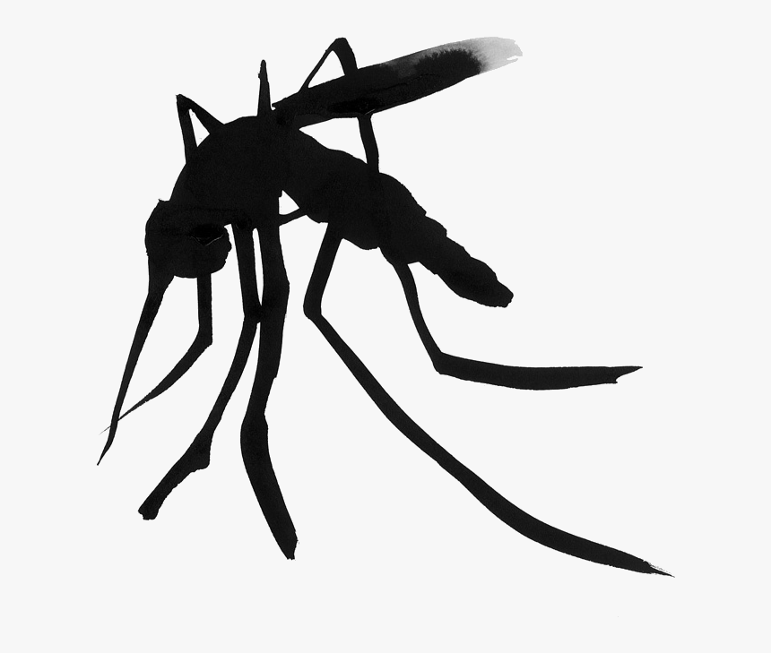 1 - Mosquito - Ant, HD Png Download, Free Download