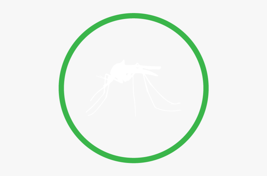 Lokalpestcontrol Service Icons Mosquito - Megaphone Symbol, HD Png Download, Free Download