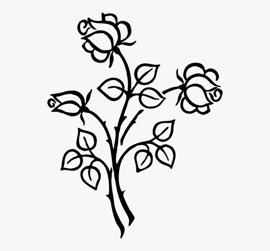 Stylized, Roses, Flowers, Floral, Line Art, Silhouette - Flower Clipart Black And White Png, Transparent Png, Free Download