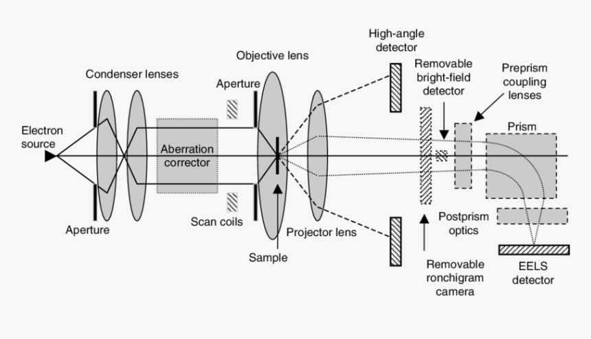 Schematic Of A Transmission - Scanning Transmission Electron Microscope Diagram, HD Png Download, Free Download