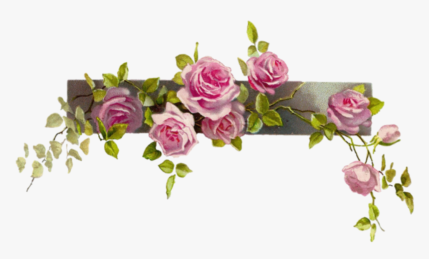 #rose #vine #vintage - Vintage Flower Border Png, Transparent Png, Free Download