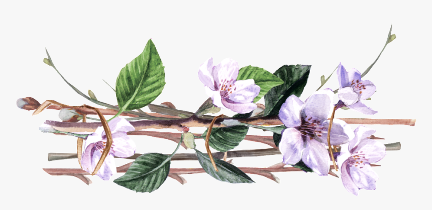 Purple Vine Man Flower Cartoon Transparent This Backgrounds - Flower Vines Transparent Background, HD Png Download, Free Download