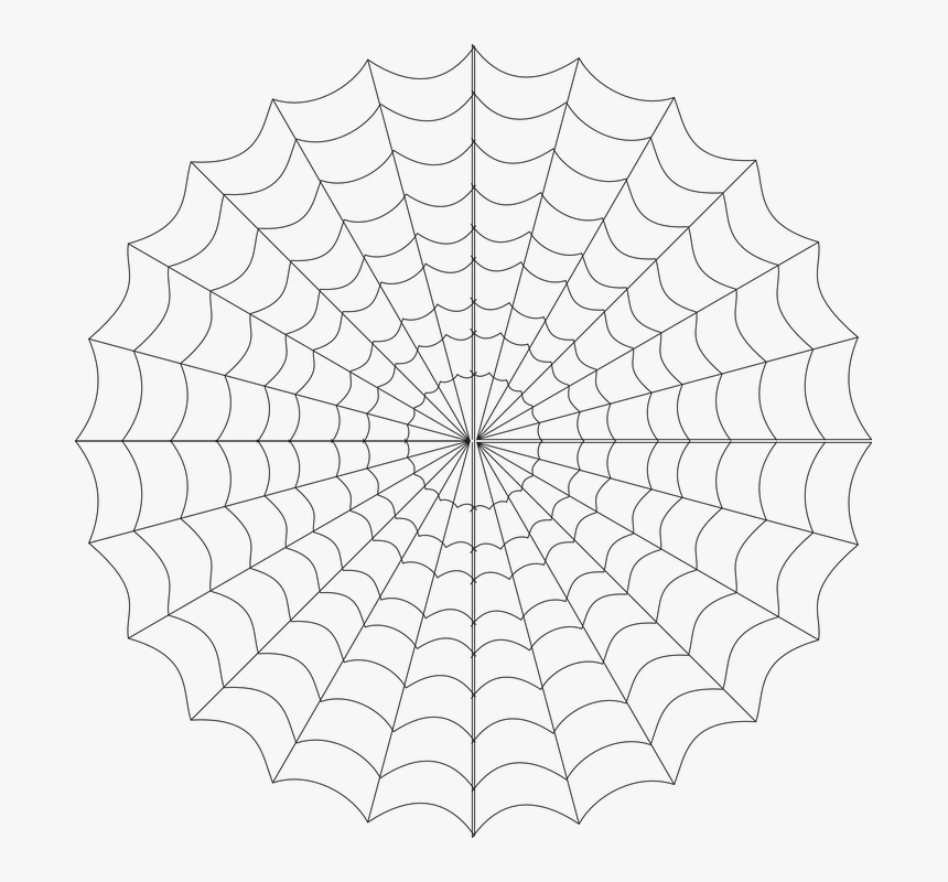 Cob Web, Spiderweb, Spider"s Web, Web, Spider, Insect - Spider Web Transparent Background, HD Png Download, Free Download