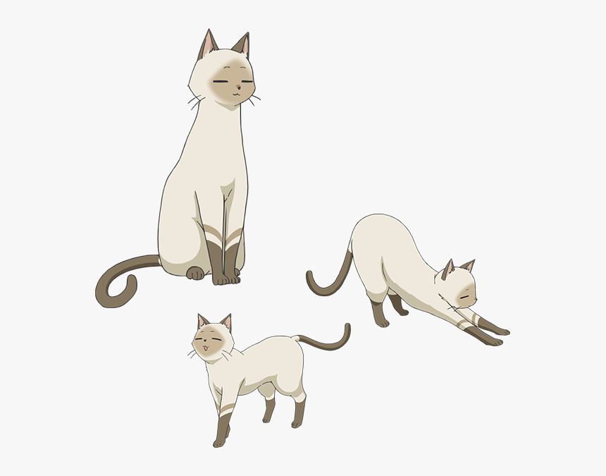 Flying Witch Anime Cat , Png Download - Flying Witch Anime Cat, Transparent Png, Free Download
