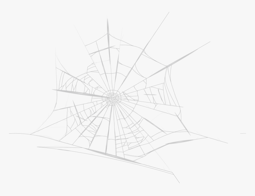 Spider Web, HD Png Download, Free Download