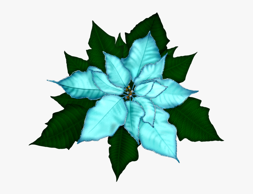 Fantasy Moments ~ Winter Impressions - Transparent Background Poinsettia Clipart Png, Png Download, Free Download