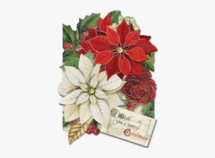 Poinsettia, HD Png Download, Free Download