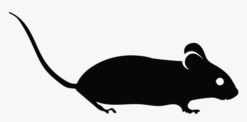 Mouse, Mouse Silhouette, Lab Mouse, Mouse Icon, Rodent - Mice Icon, HD Png Download, Free Download