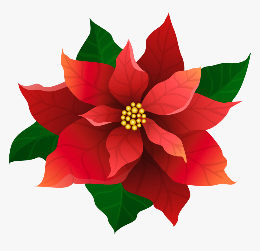 Clip Art Christmas Poinsettia Red Transparent, HD Png Download, Free Download