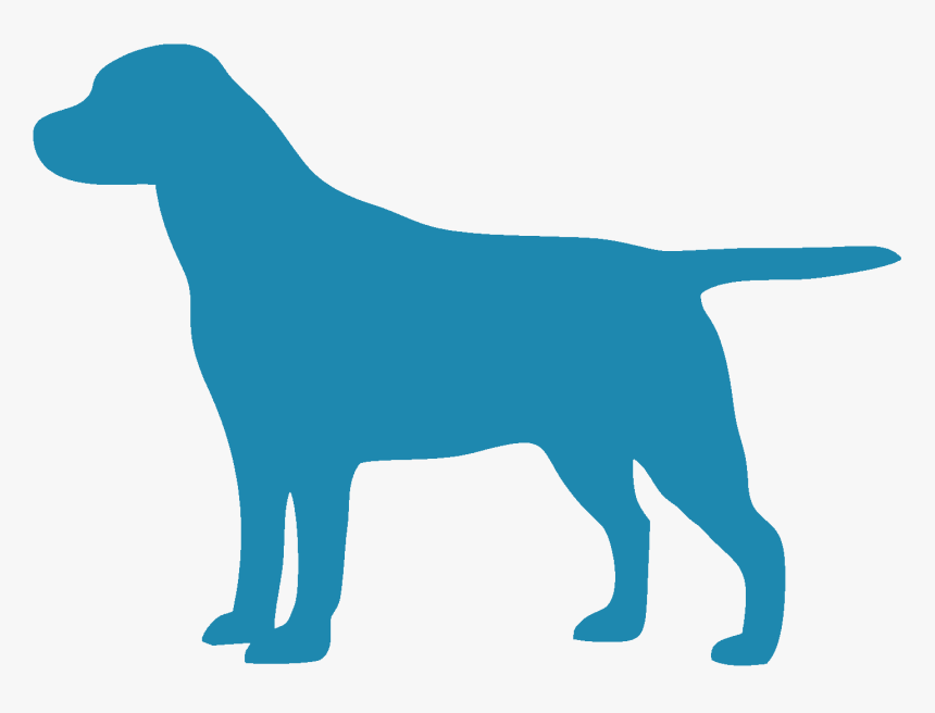 Labrador Retriever - Dog Clipart Lab, HD Png Download, Free Download