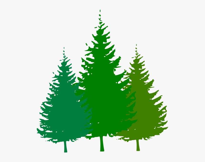 Free Animated Cliparts Download - Pine Tree Clipart Png, Transparent Png, Free Download