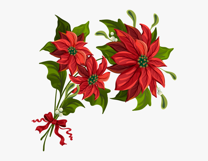 #christmas #poinsettia #poinsetta #terrieasterly - Flower Related To Christmas, HD Png Download, Free Download