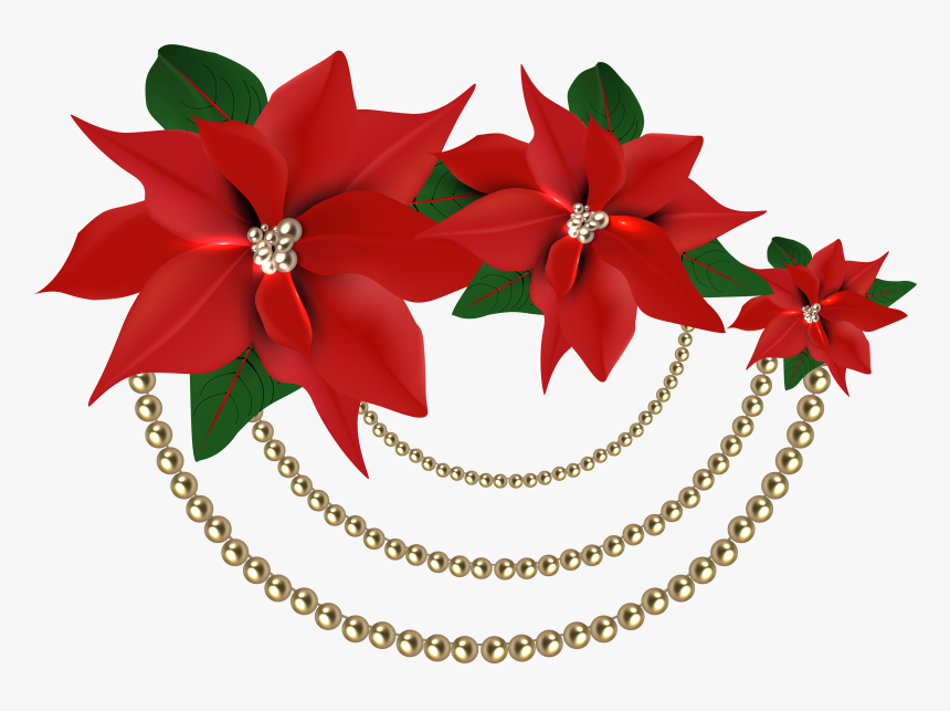 Poinsettias Clipart Poinsetta - Red Flower Christmas Png, Transparent Png, Free Download