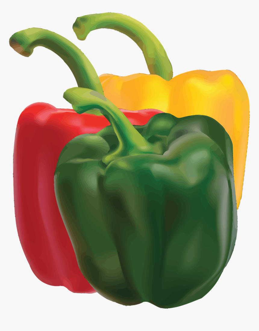 Bell Pepper,natural Foods,peperoncini - Clip Art Bell Pepper, HD Png Download, Free Download