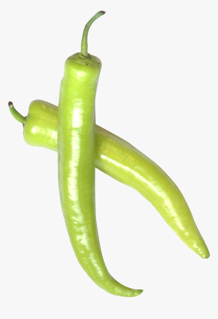 Green Chili Pepper Png Image - Green Chili Pepper Png, Transparent Png, Free Download