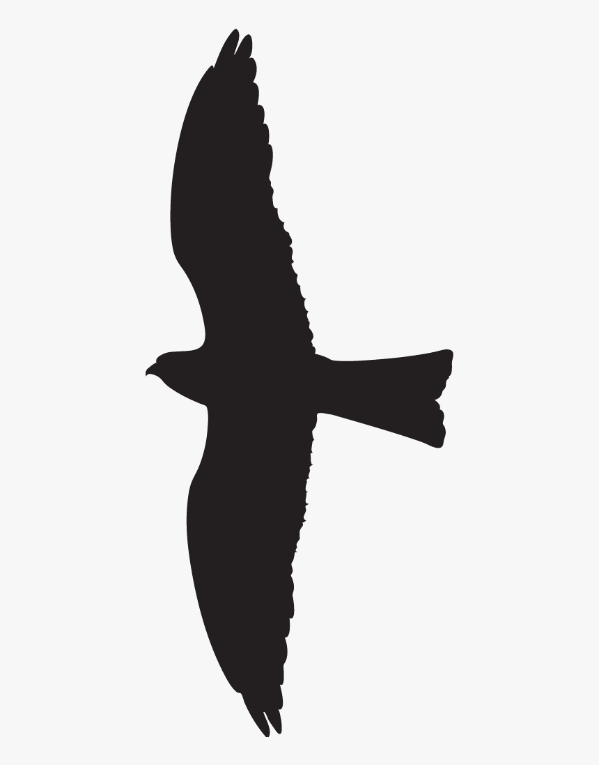 Swallow - Vaux S Swift, HD Png Download, Free Download