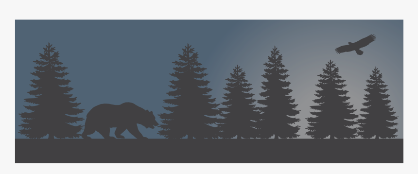 Vector Night Forest Of Bears Png Download - Christmas Tree, Transparent Png, Free Download