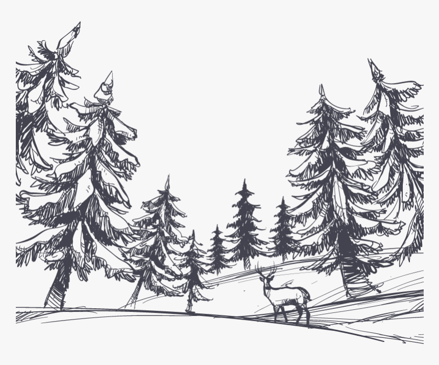 Transparent Forest Clipart Black And White - Forest Sketch, HD Png Download, Free Download