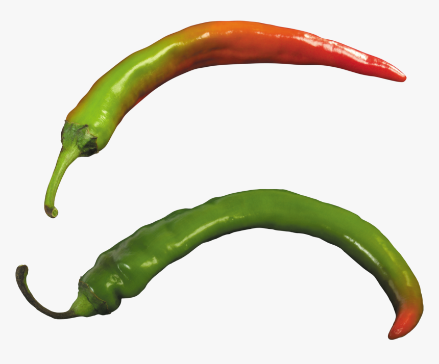 Green Chili Pepper Png, Transparent Png, Free Download