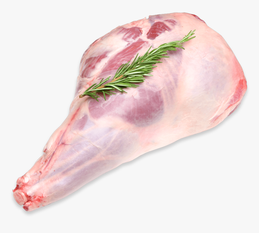 Transparent Mutton Png - Lamb Leg White Background, Png Download, Free Download