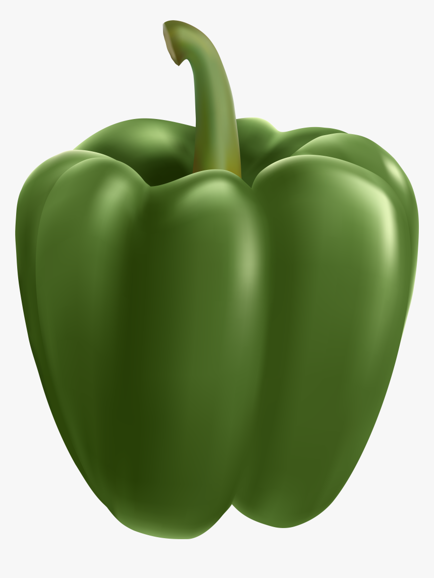 Bell Bell Pepper,bell Peppers And Chili Nutrition,nightshade, HD Png Download, Free Download