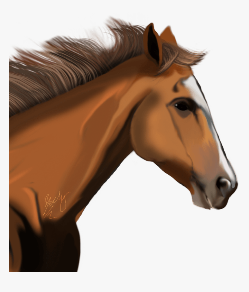 Horse Png - Race Horse Head Png, Transparent Png, Free Download