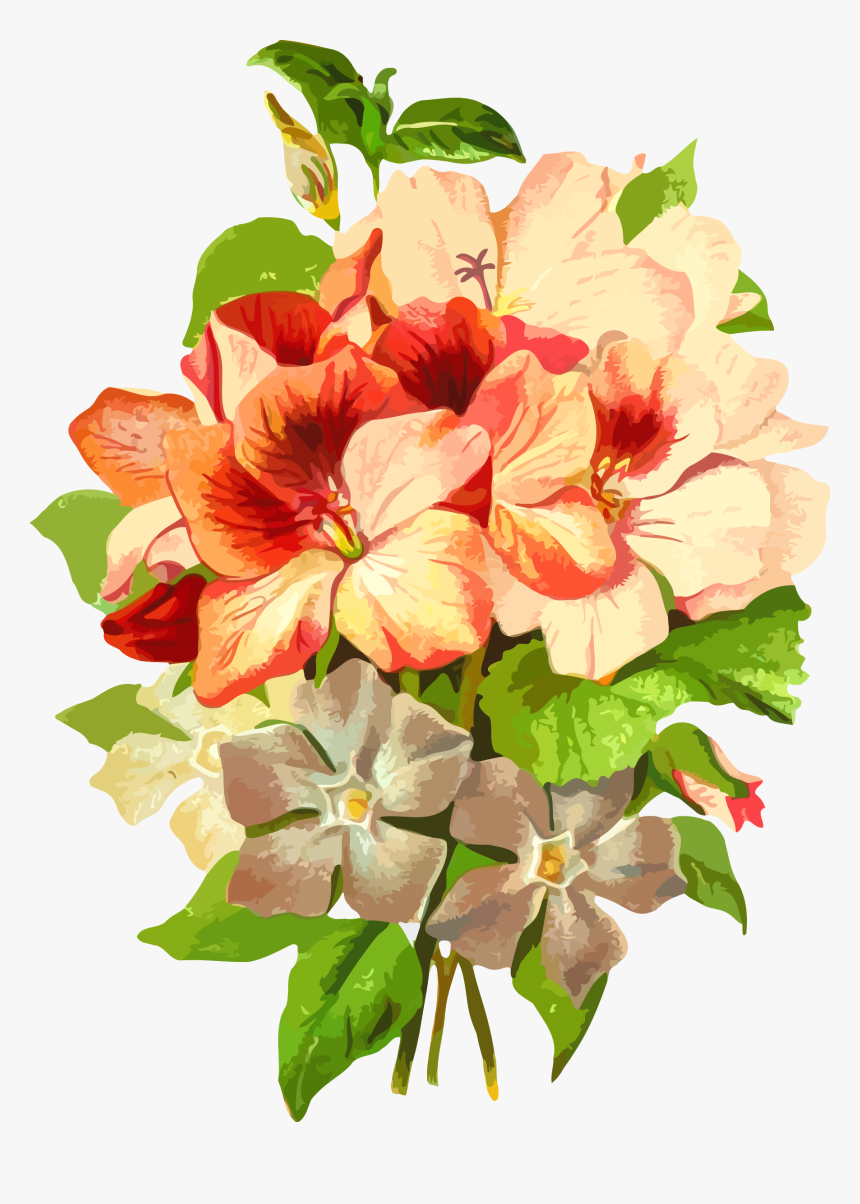 Poinsettia Drawing Watercolor - Bunga Png, Transparent Png, Free Download