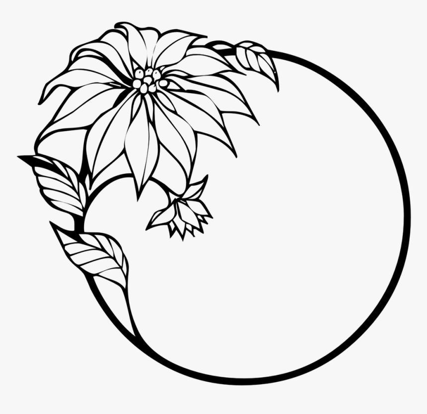 Poinsettia Clipart Line Drawing - Flower Border Clipart Black And White, HD Png Download, Free Download