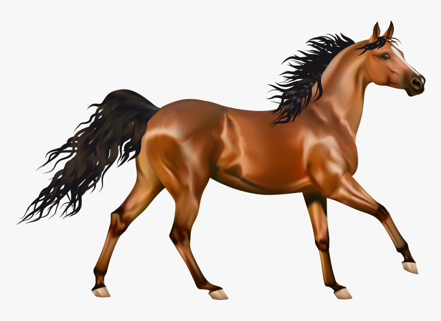 Arabian Horse Pony Equestrianism Clip Art - Horse Clipart, HD Png Download, Free Download
