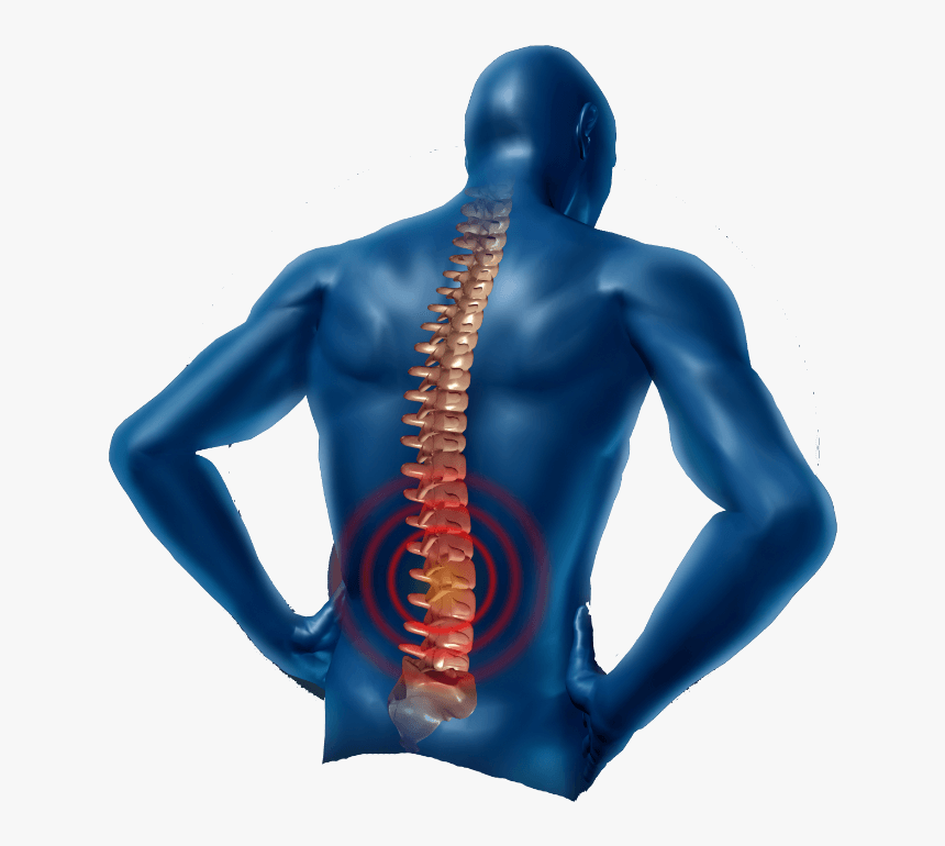 Back Pain Png, Transparent Png, Free Download
