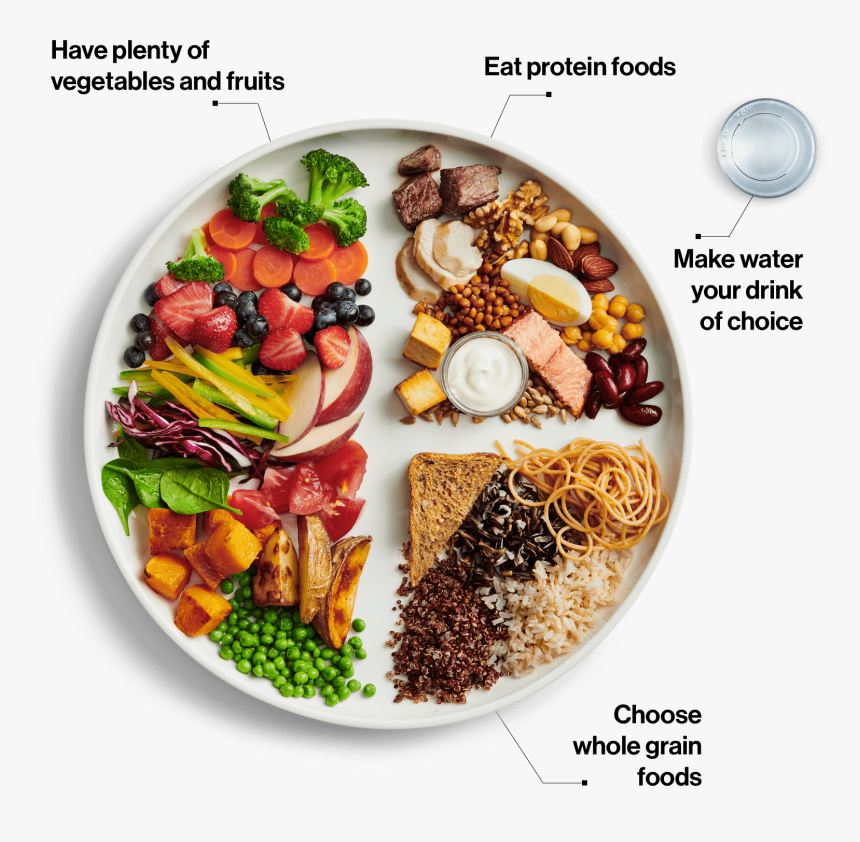 Canada Food Guide 2019, HD Png Download, Free Download