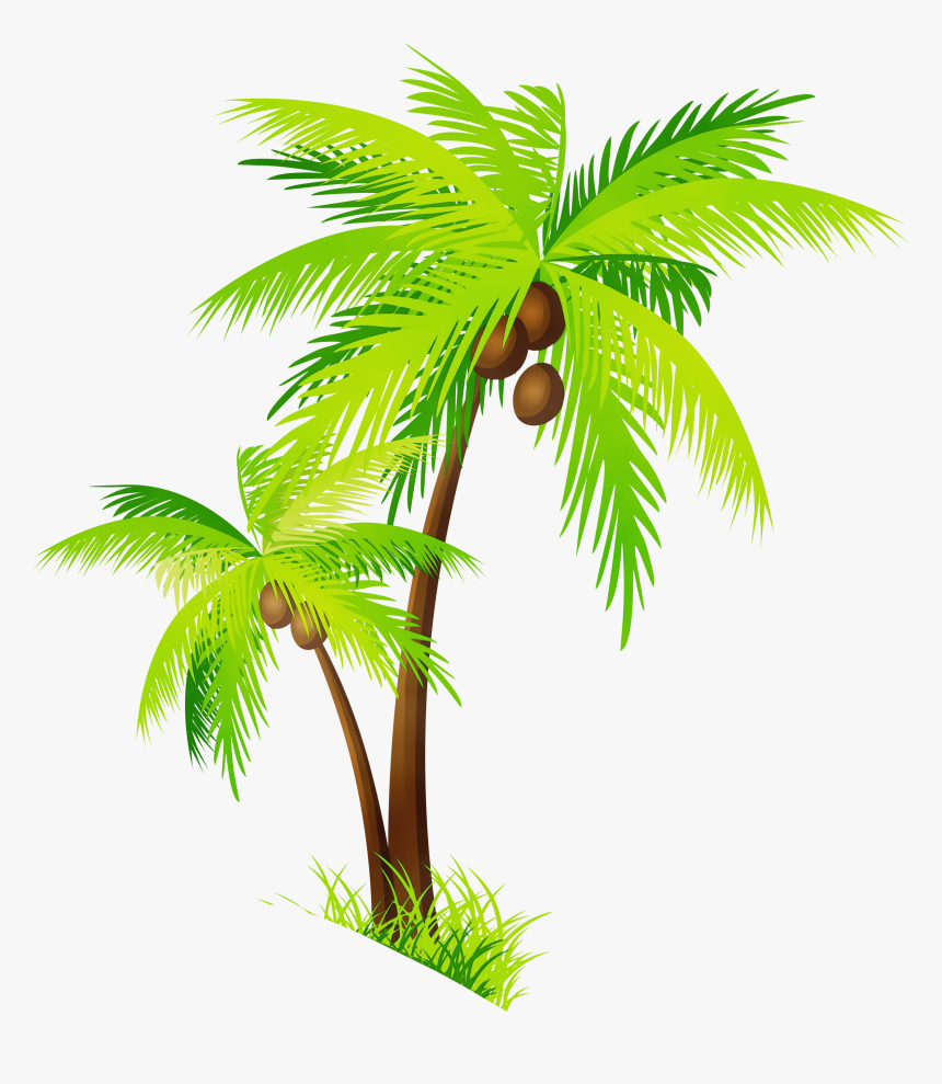 Clip Art Coconut Portable Network Graphics Palm Trees - Clip Art Coconut Tree Png, Transparent Png, Free Download