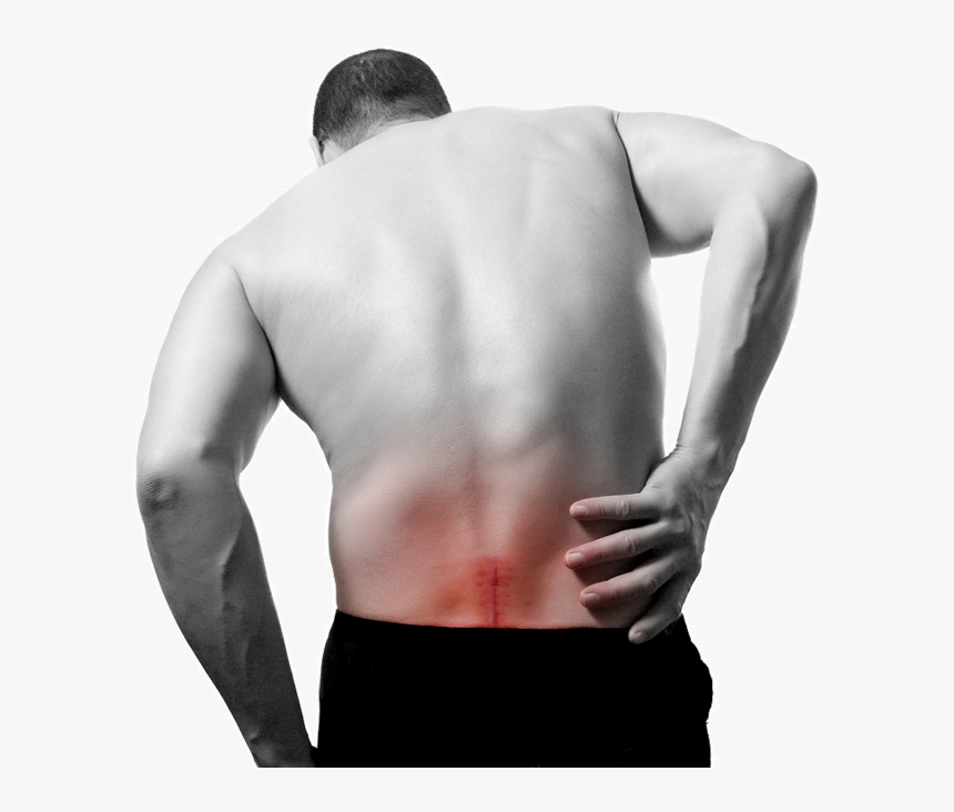Back Pain Background Png - Lower Back Pain Png, Transparent Png, Free Download