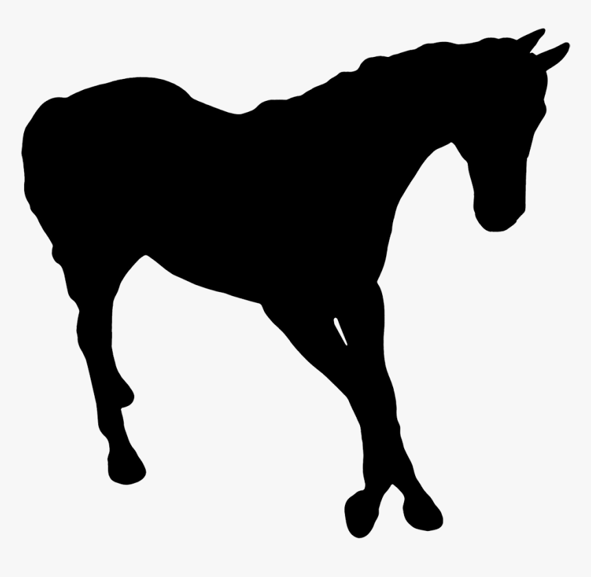 Silhouette Of Horse - Dark Horse Idiom, HD Png Download, Free Download