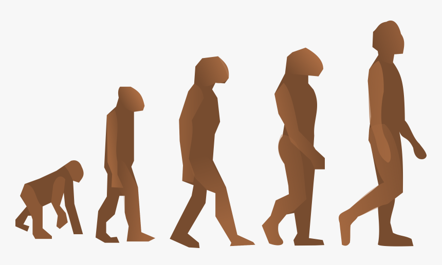 Humana Clip Art - Human Evolution, HD Png Download, Free Download