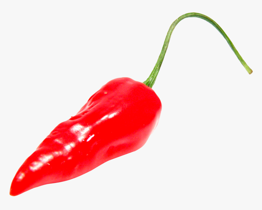 Red Chili Pepper Png Image Png Transparent Best Photos - Red Hot Pepper Png, Png Download, Free Download