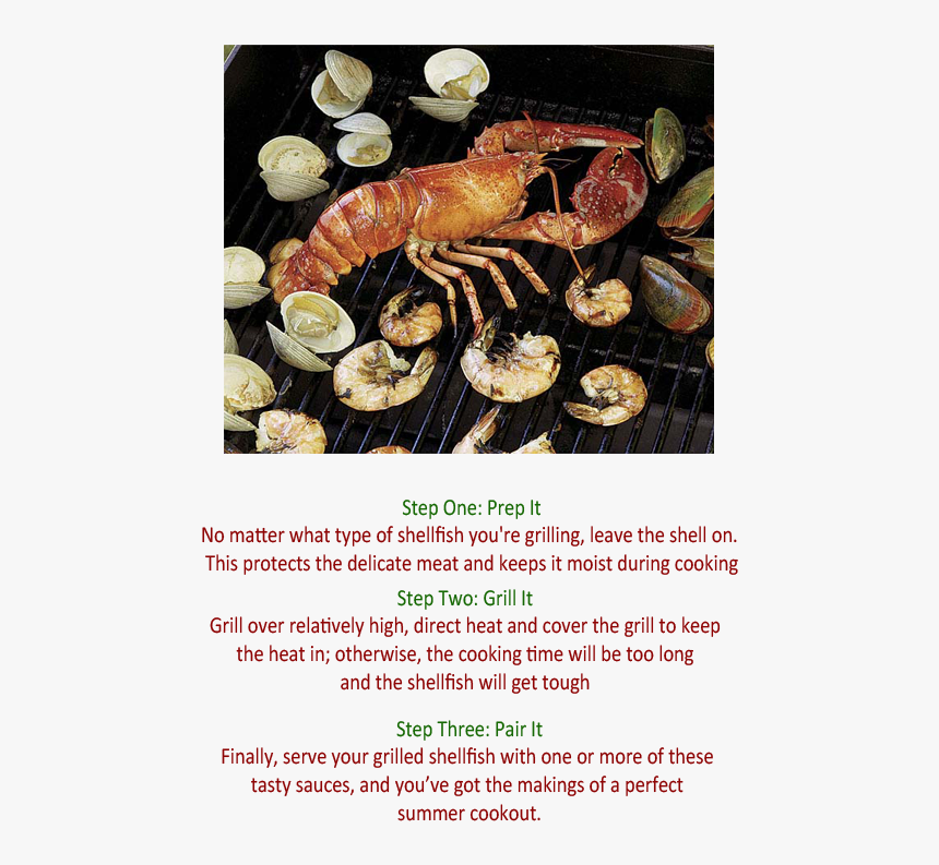 Iodine Shellfish, HD Png Download, Free Download