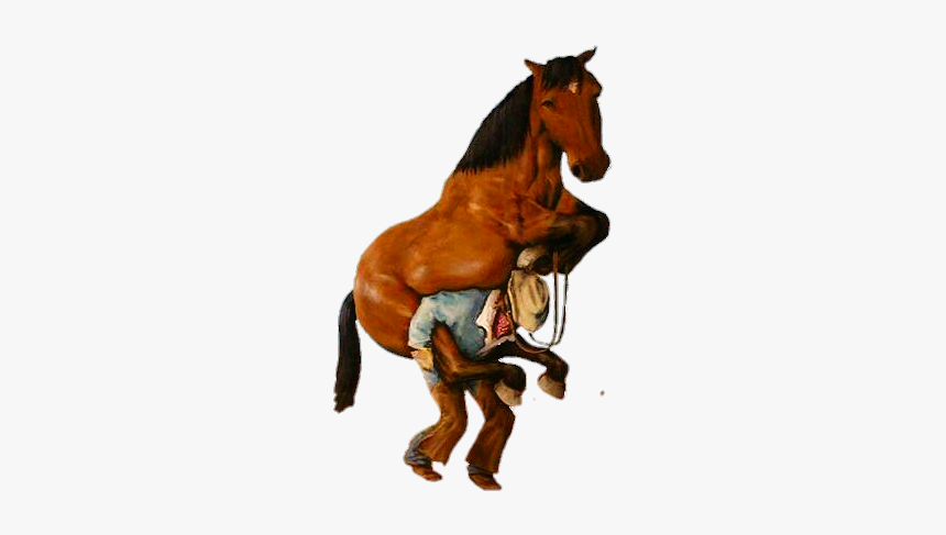 #cowboy #horse #funny - Vas A Venir Con El Caballo Cansado, HD Png Download, Free Download