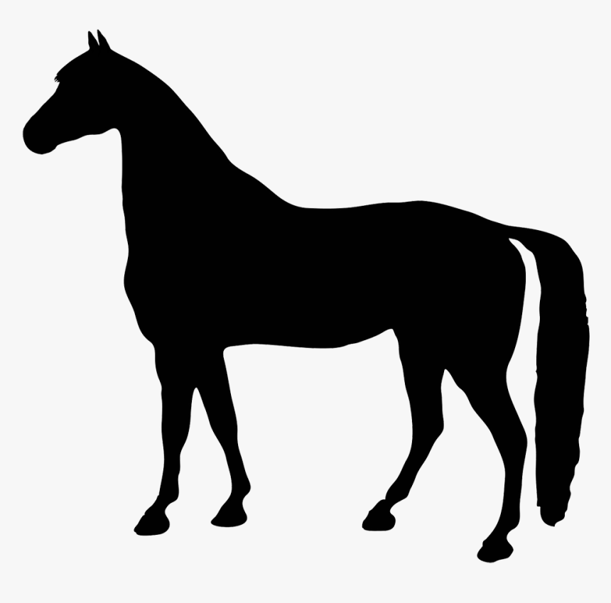 Black Silhouette Horse - Black Horse Silhouette Png, Transparent Png, Free Download