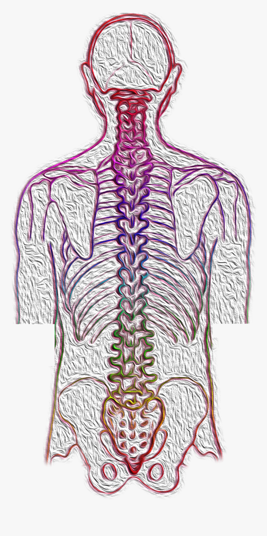 Chiropractic A Key Role In Back Pain Relief And Drug, HD Png Download, Free Download