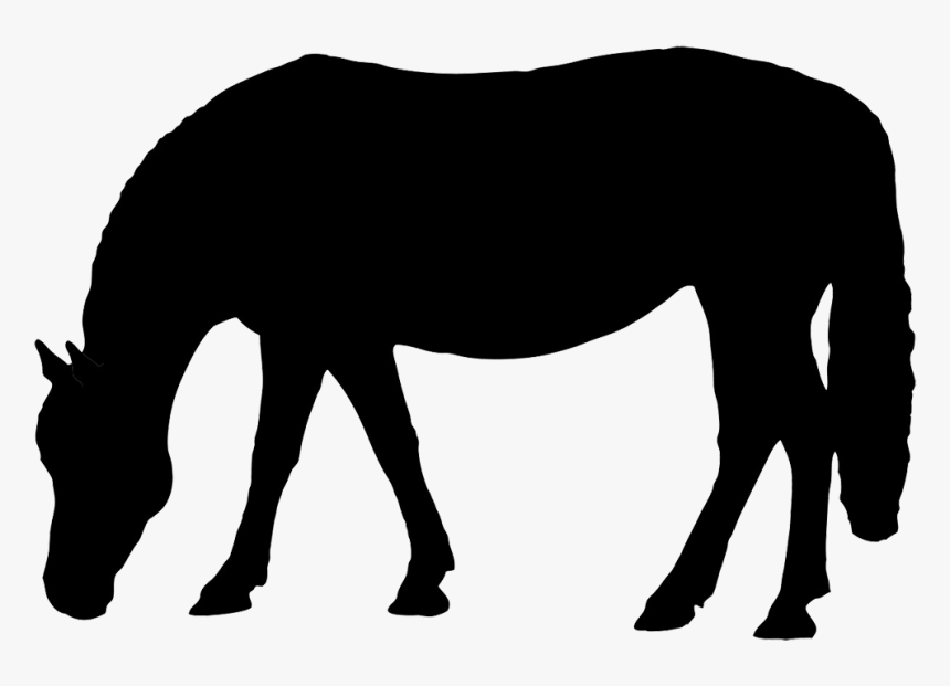 Horse Grazing Clip Art - Horse Silhouette Head Down, HD Png Download, Free Download