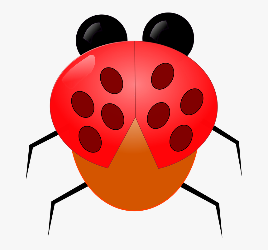 Ladybug Animal Insects Bugs Flying Insect, HD Png Download, Free Download