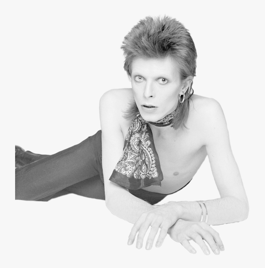 David Bowie Png - David Bowie Diamond Dogs Photoshoot, Transparent Png, Free Download