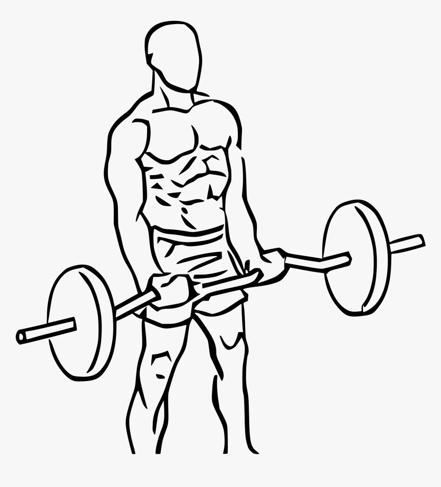 Deadlift Drawing Powerlifting Clip Art Freeuse Library - Ez Bar Curl Png, Transparent Png, Free Download