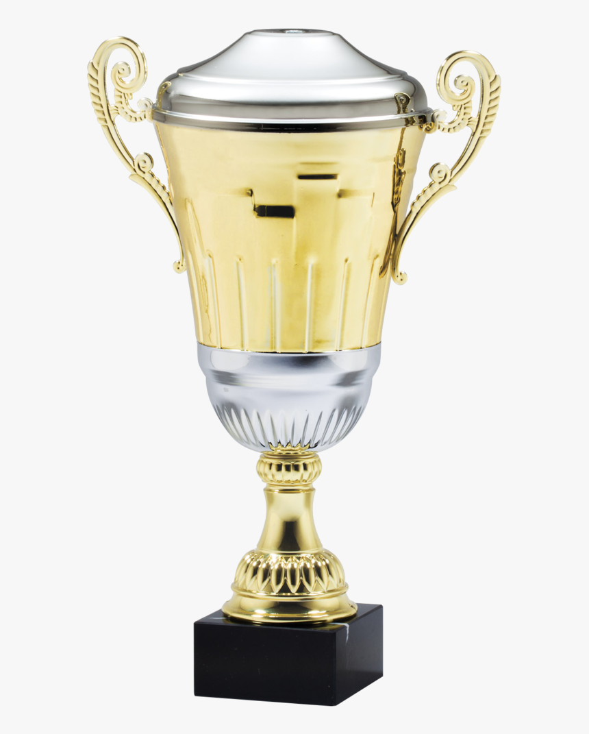 Transparent Gold Trophy Png - Trophy, Png Download, Free Download