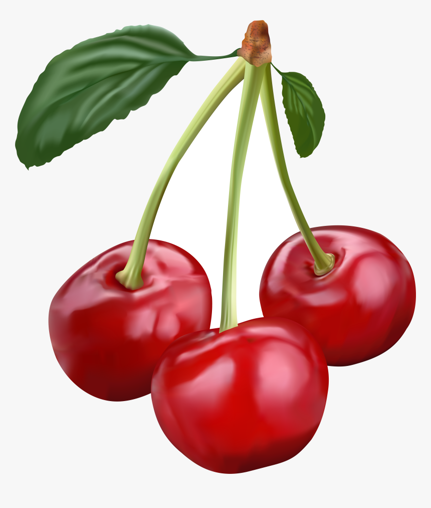 Cherry Transparent Clip Art Image Gallery Png, Png Download, Free Download