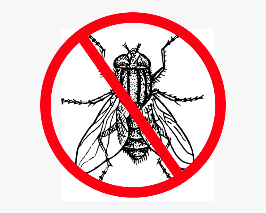 Flies Clipart Harmful Insect - Clip Art Black And White Fly, HD Png Download, Free Download
